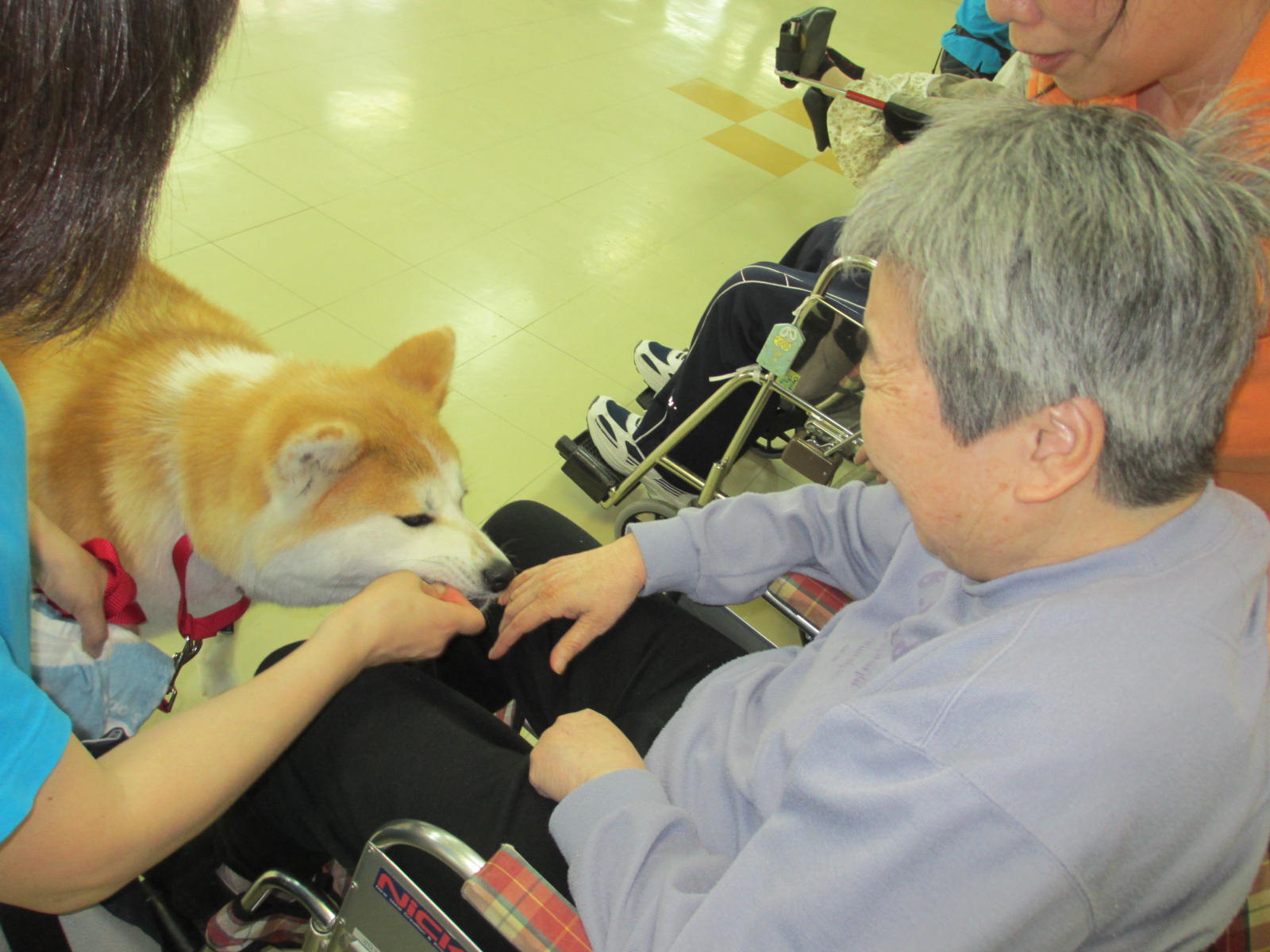 動物とのふれあい