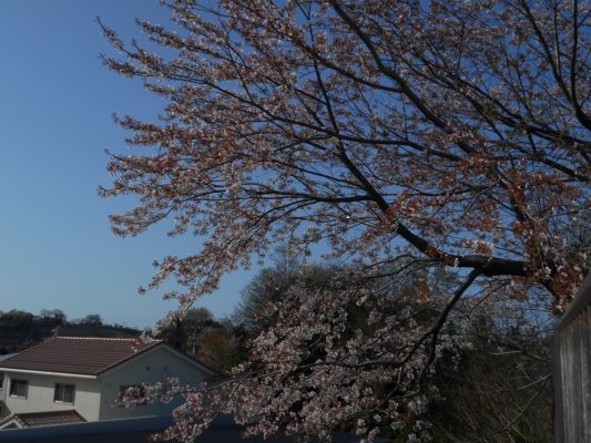 ☼おもうぞんぶん ひなたぼっこ☼